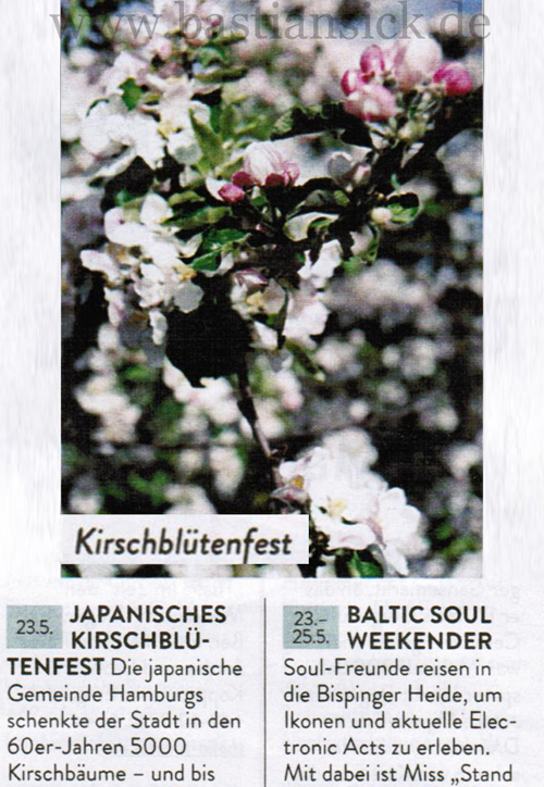 Kirschblütenfest_bearbeitet_WZ (Die Zeit) von Götz Schaude 07.05.2014_nYgFAcxB_f.jpg